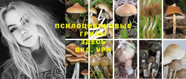 кокаин перу Бородино