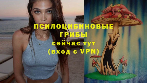 гашик Бронницы