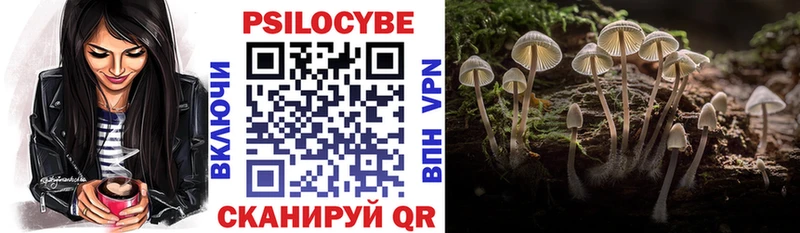 Псилоцибиновые грибы прущие грибы  нарко площадка официальный сайт  Одинцово 